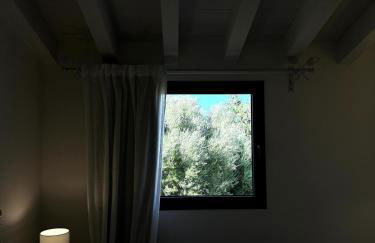 Corte dei Mori 239 - Foto 3