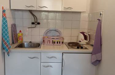 Studio apartment Dragana - Foto 17