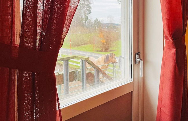 8 Person Holiday Home in Bralanda-by Traum - Photo 43