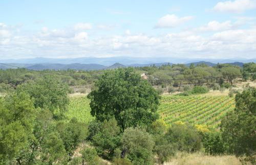 State of the Art Fixtures Villa in Vidauban with Pool - Photo 29