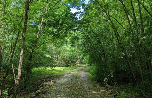 Maison confortable avec jardin privatif, internet, parking - FR-1-653-112 - Foto 36