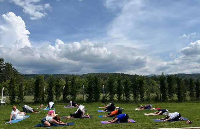 Lepista Garden - Foto 10