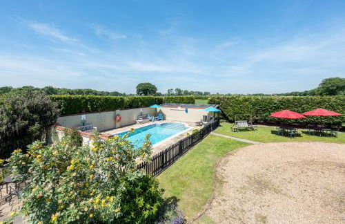 Birds Farm - Foto 88