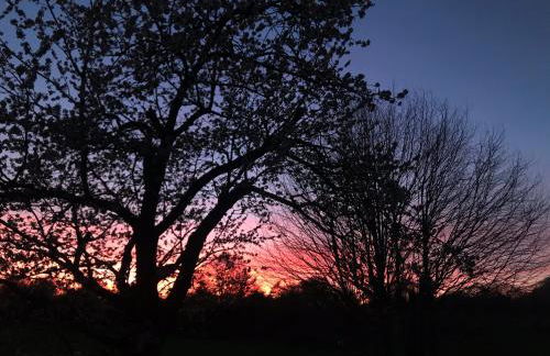 Gut Kalkhäuschen, ein Ort mit Geschichte - Foto 52