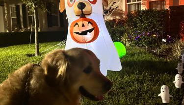 Wharfside Waterfront - Foto 3