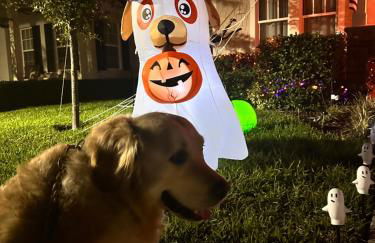 Wharfside Waterfront - Foto 3