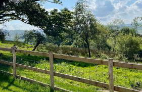 Peaceful Dyfi Valley Cottage - Hendre-gau - Photo 44