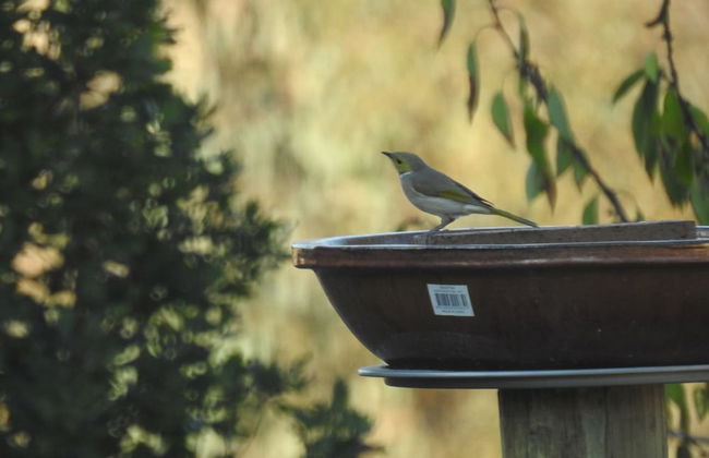 Barkly Suites Apartments - Foto 29