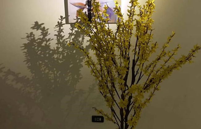 Heliopolis Apartment - Foto 18