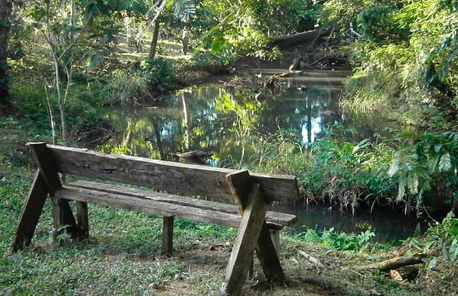 Vanilla Jungle Lodge - Bed & Breakfast - Foto 24