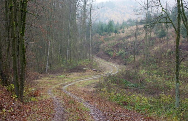 Apartment in Harz With Terrace and Fireplace - Photo 34