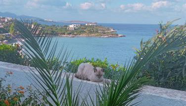 Residence Gerani - Foto 4