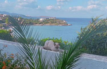 Residence Gerani - Foto 4