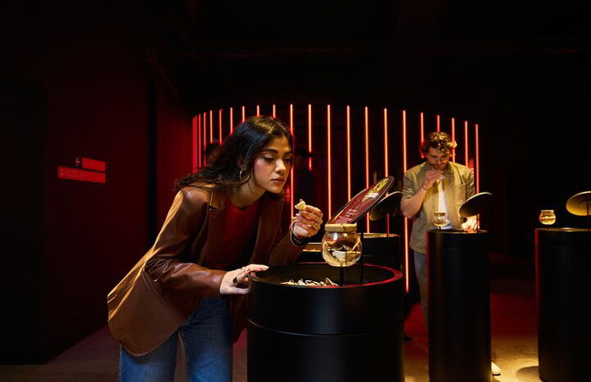 Visite guidée de la Casa Martini avec dégustation finale - Photo 4