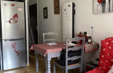 Beau studio plus, tout confort, classé 3 étoiles par le comité départemental du tourisme de la Haute Garonne - Foto 4