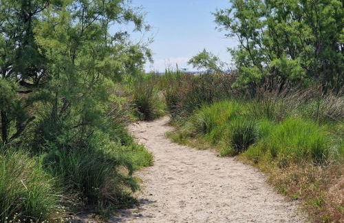 Le jardin de Domi - Foto 30