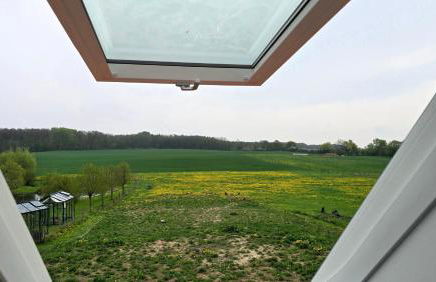 Ferienhaus Südgarten mit Kamin an der Ostsee - Foto 11