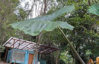 Chalé 2 juruva - Foto 18