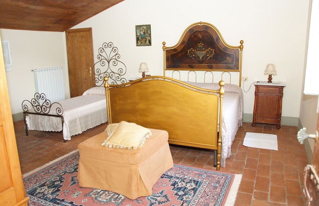 FUCCIOLI II - Foto 2