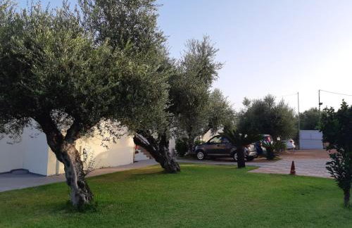 Panorama beach - Foto 50