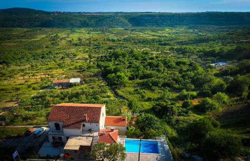 Olive Garden Apartments - Foto 2