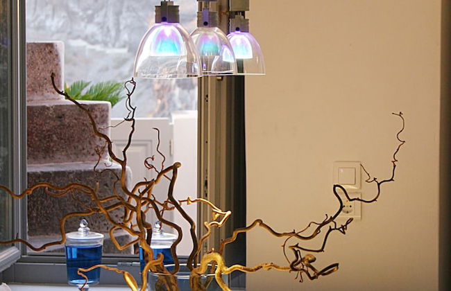 Blue Angel Villa - Photo 13