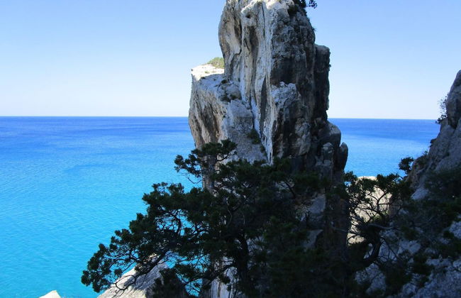 Agriturismo Su Tiresi - Foto 51