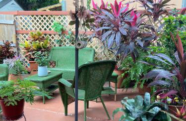 Palm Beach Mermaid - Foto 33