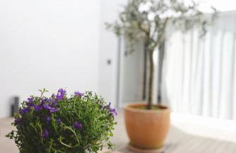 RIBEIRA FLORES 59 Downtown Apartments - Foto 12