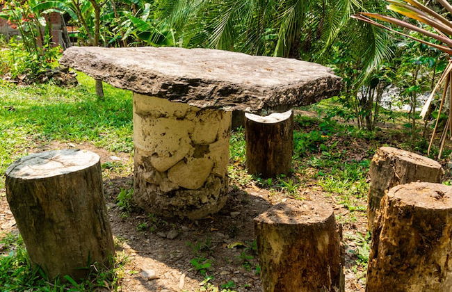 Casa de campo Los Yungas - Photo 11