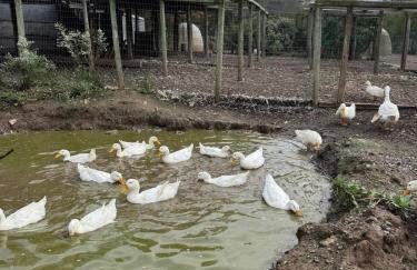 Bucks County Home Farm Philadelphia Dog Friendly - Foto 57