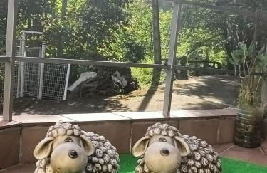 El Mirador de Redes, Campo de Caso, Asturias - Foto 37