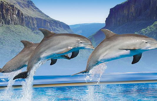 Palmitos Park - Foto 4