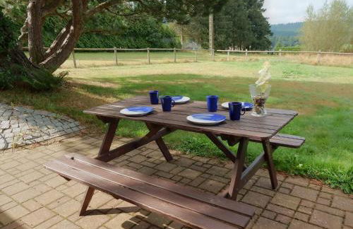 Chalet in La Hoube near Rocher du Dabo - Photo 11