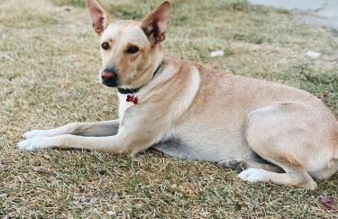 La colina buena - cosy casita for nature lovers - Foto 34