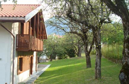 Zoncolan Apartments - Photo 1