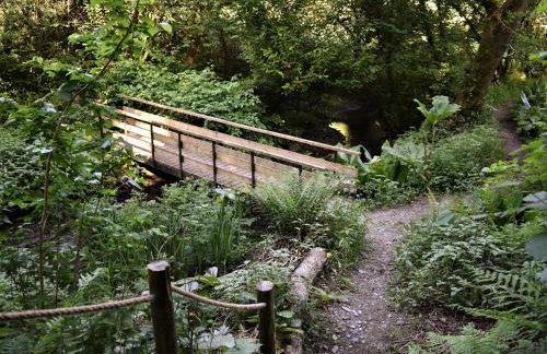 Kingfisher - Foto 31