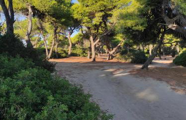 Seaside Glow - Foto 34