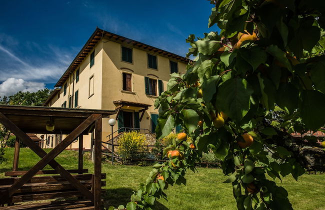 Fattoria Sant'Appiano - Foto 3