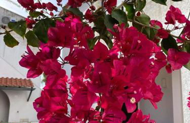 Pedras D'el Rei - Vista Jardim - Foto 19