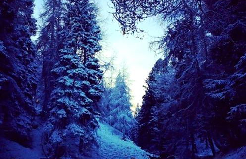 Hedgehog's Hideaway,a peaceful retreat in Nenthead - Foto 21