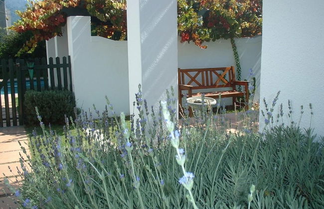 Sunny Lane - Foto 22