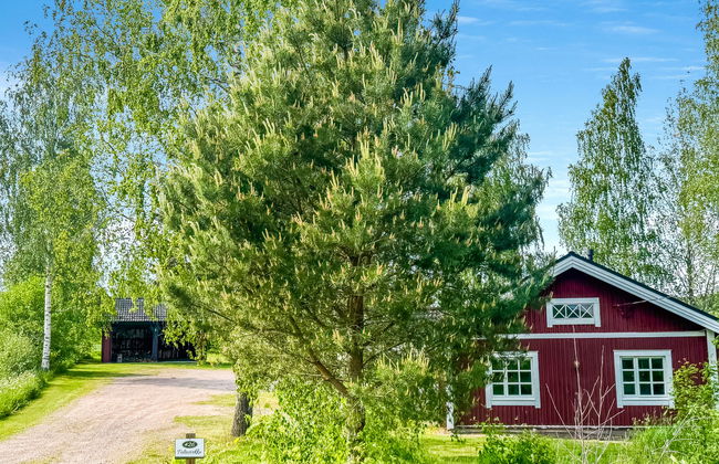 Peltosirkku - Photo 34