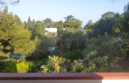 Villa Matisse - Damecuta Park - Foto 25