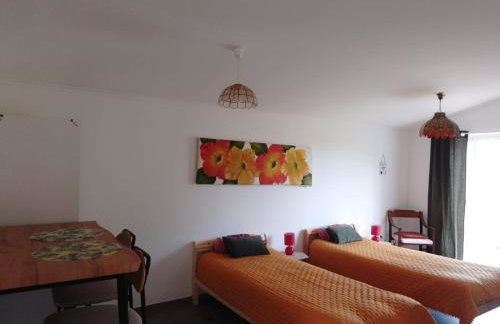 Nova Aurora - Foto 23