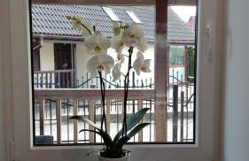 Domek Na pokładzie - Foto 16