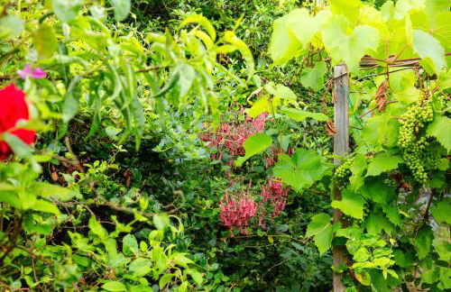 9RA - 4BD House - Wembley Views - Foto 48