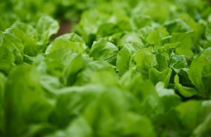 Épicos House, Your home away from home. - Foto 27