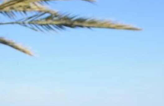 Apartamentos Llevant - Foto 37