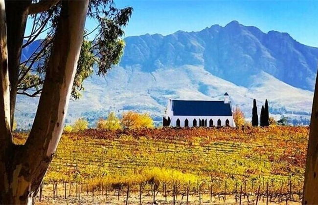 Fraaigelegen Farm - Photo 34